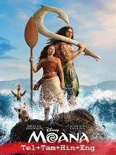 Moana (2026) Telugu Dubbed